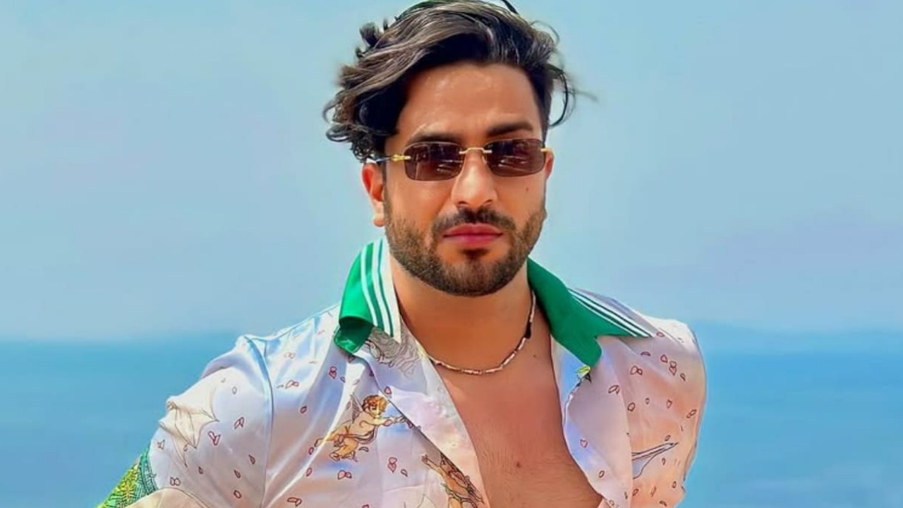 Pic Credit: Aly Goni Instagram Aly Goni