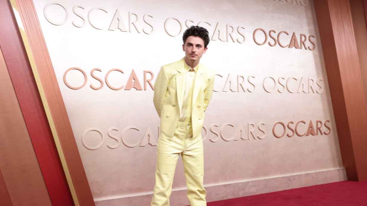 Timothee Chalamet via Getty Images Getty Images