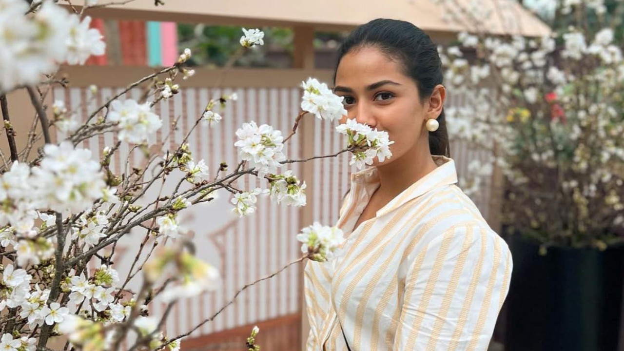 All about 3-day Ayurveda-based gut cleansing ritual followed by Mira Rajput Kapoor. PC: Mira Kapoor IG Mira Rajput