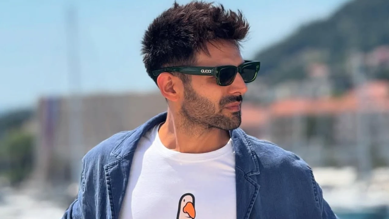 Kartik Aaryan via Instagram Instagram