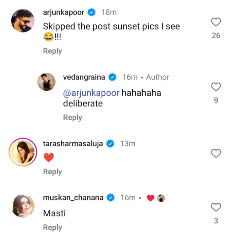 Pic Courtesy: Vedang Raina Instagram