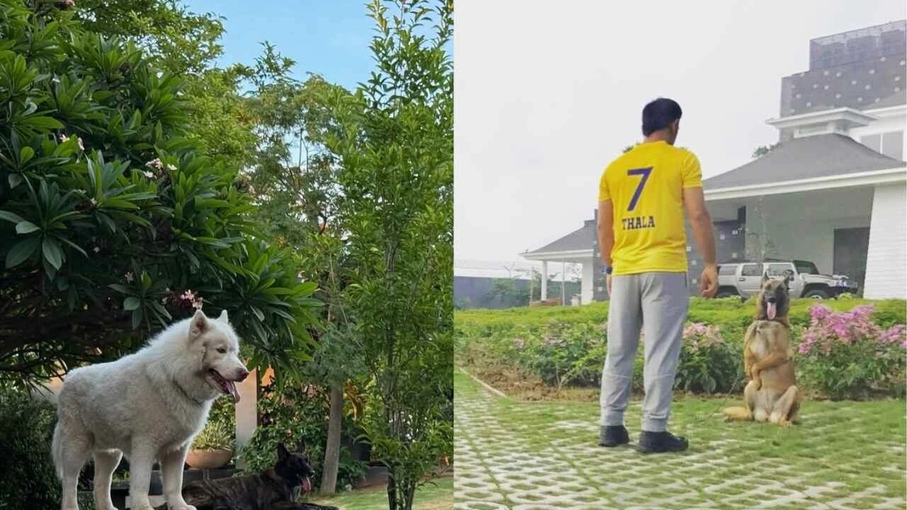 M.S. Dhoni's huge backyard in his Ranchi home