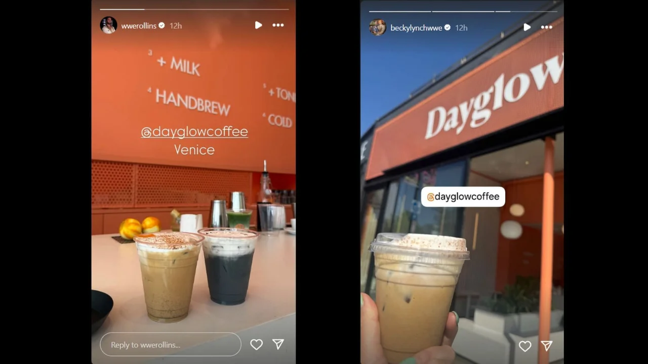 Seth Rogan and Becky Lynch's stories (via Instagram)