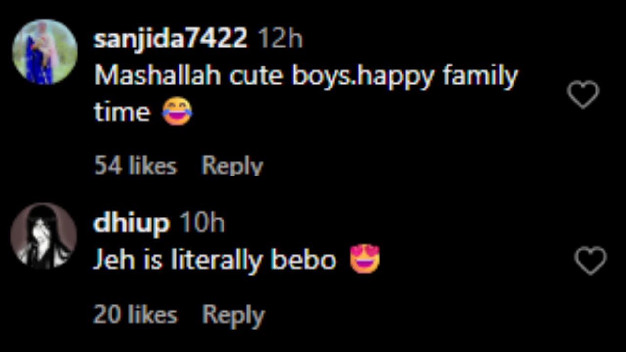 Netizens comment on Ibrahim Ali Khan's post (PC: IG)