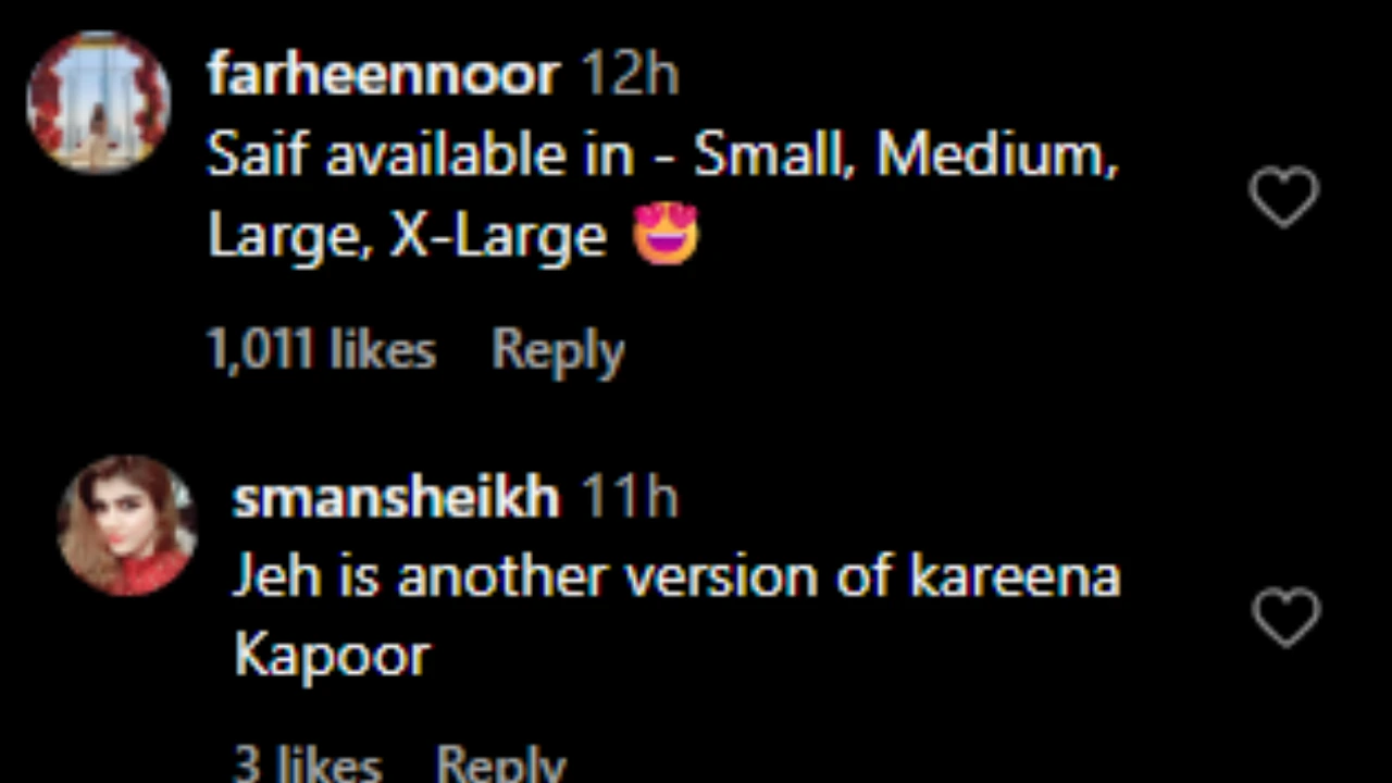 Netizens comment on Ibrahim Ali Khan's post (PC: IG)