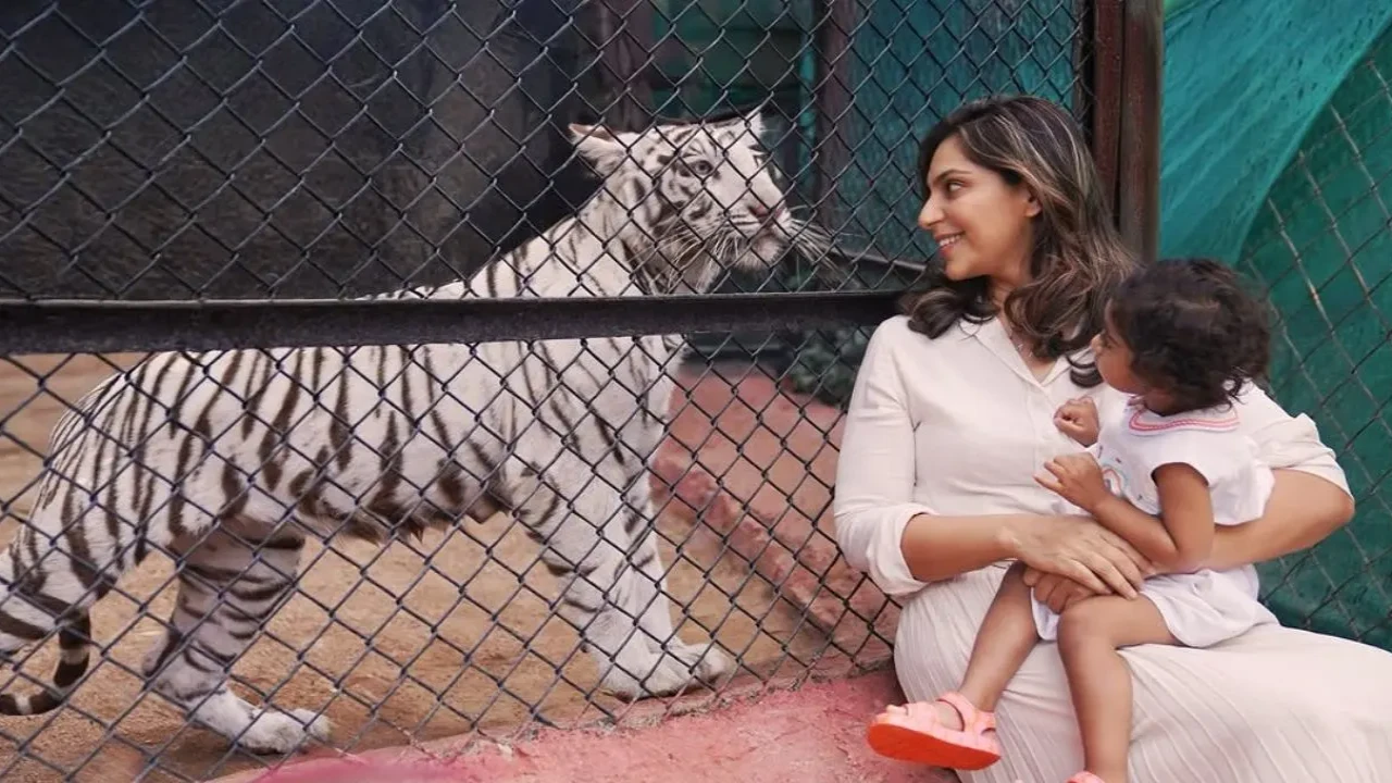 Ram Charan’s wife Upasana drops first clear picture of daughter Klin Kaara who gets a white tigress to her name (PC: Upasana Kamineni IG) Ram Charan’s wife Upasana drops first clear picture of daughter Klin Kaara who gets a white tigress to her name