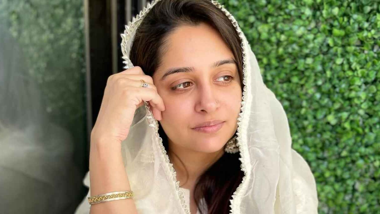 Timeline of Dipika Kakar's health condition (Pic Credit: Dipika Kakar Instagram) Dipika Kakar
