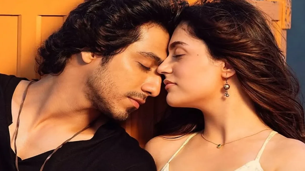 Ahaan Panday, Aneet Padda