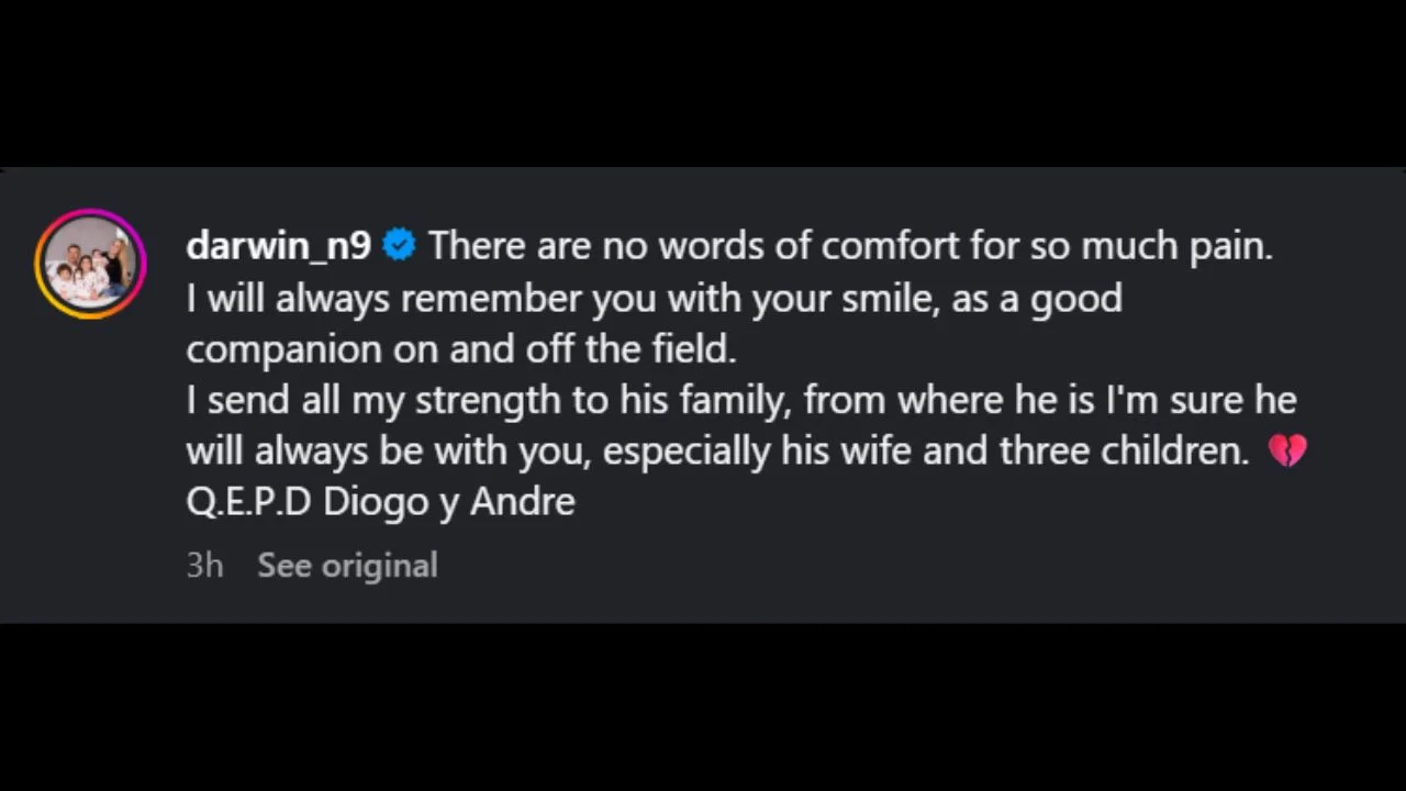 Darwin Nune's Diogo Jota tribute post (via Instagram)