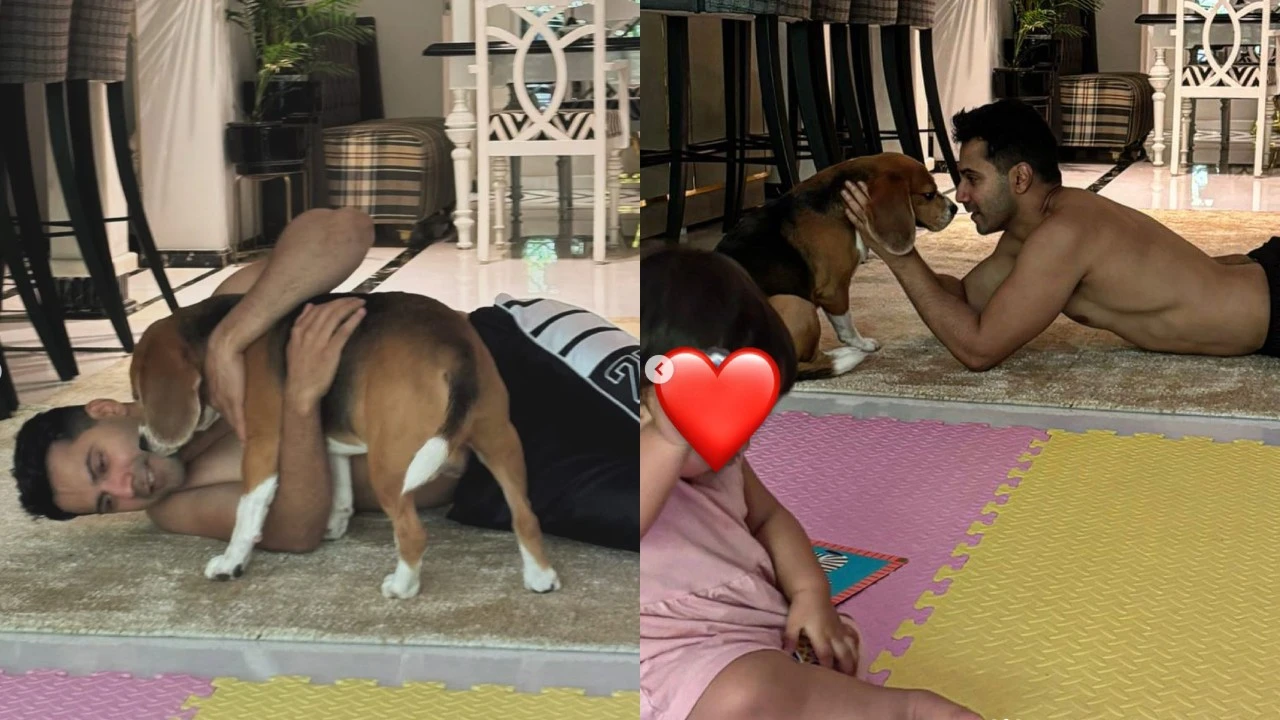 INSIDE Varun Dhawan’s playtime with daughter Lara and pet Joey – don’t miss little munchkin’s adorable glimpse (Picture credit: Varun Dhawan Instagram)
