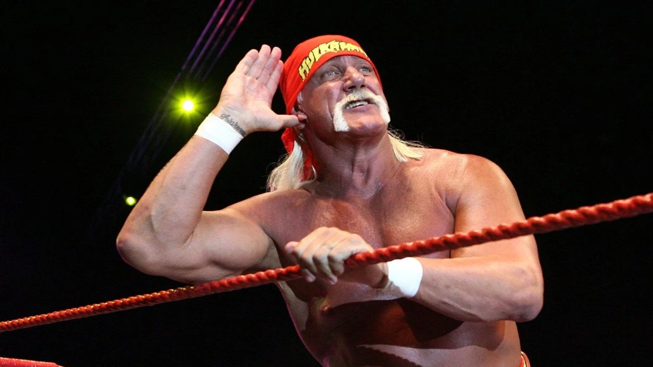 Hulk Hogan (via Getty Images) (Image Courtesy: Getty Images)
