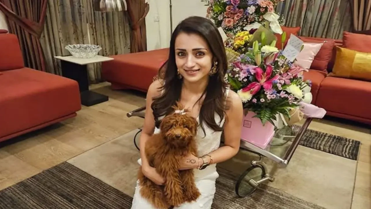 Trisha Krishnan’s Chennai House