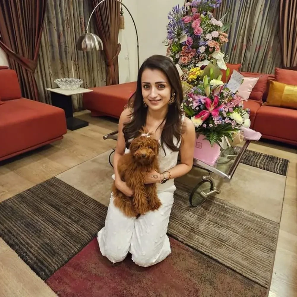 Trisha Krishnan’s Chennai House: A sneak peek into her Rs 10 crore home with cosy, sophisticated corners