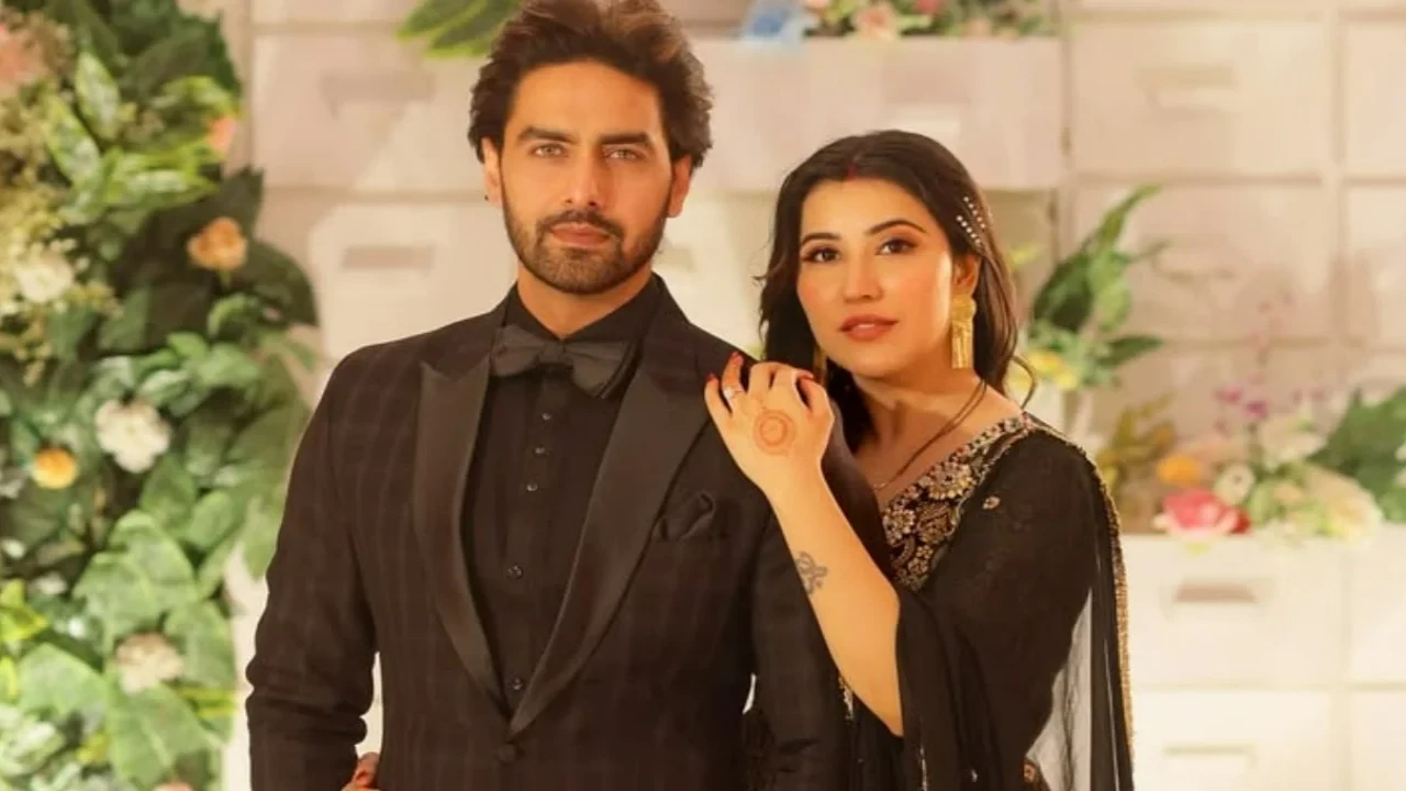Rohit Purohit's wife Sheena Bajaj opens up on pregnancy challenges (Pic Credit: Sheena Bajaj Instagram) Rohit Purohit, Sheena Bajaj