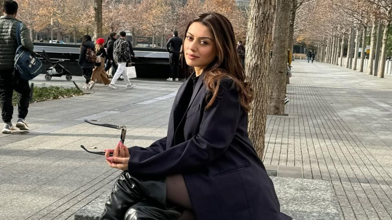 Hansika Motwani intensifies Sohael Kathuriya divorce rumors with cryptic birthday post, says 'Brought lessons I didn't ask for'