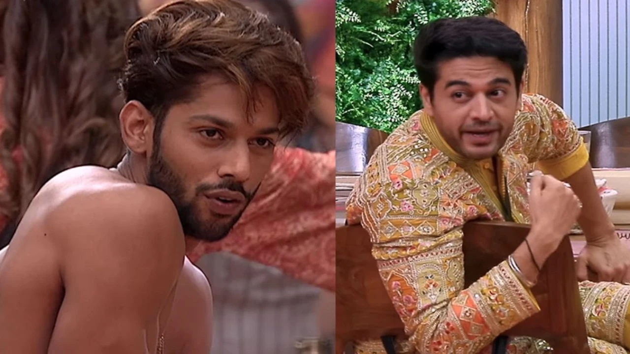 Bigg Boss 19 (via Jio Hotstar) (Image Courtesy: Jio Hotstar)