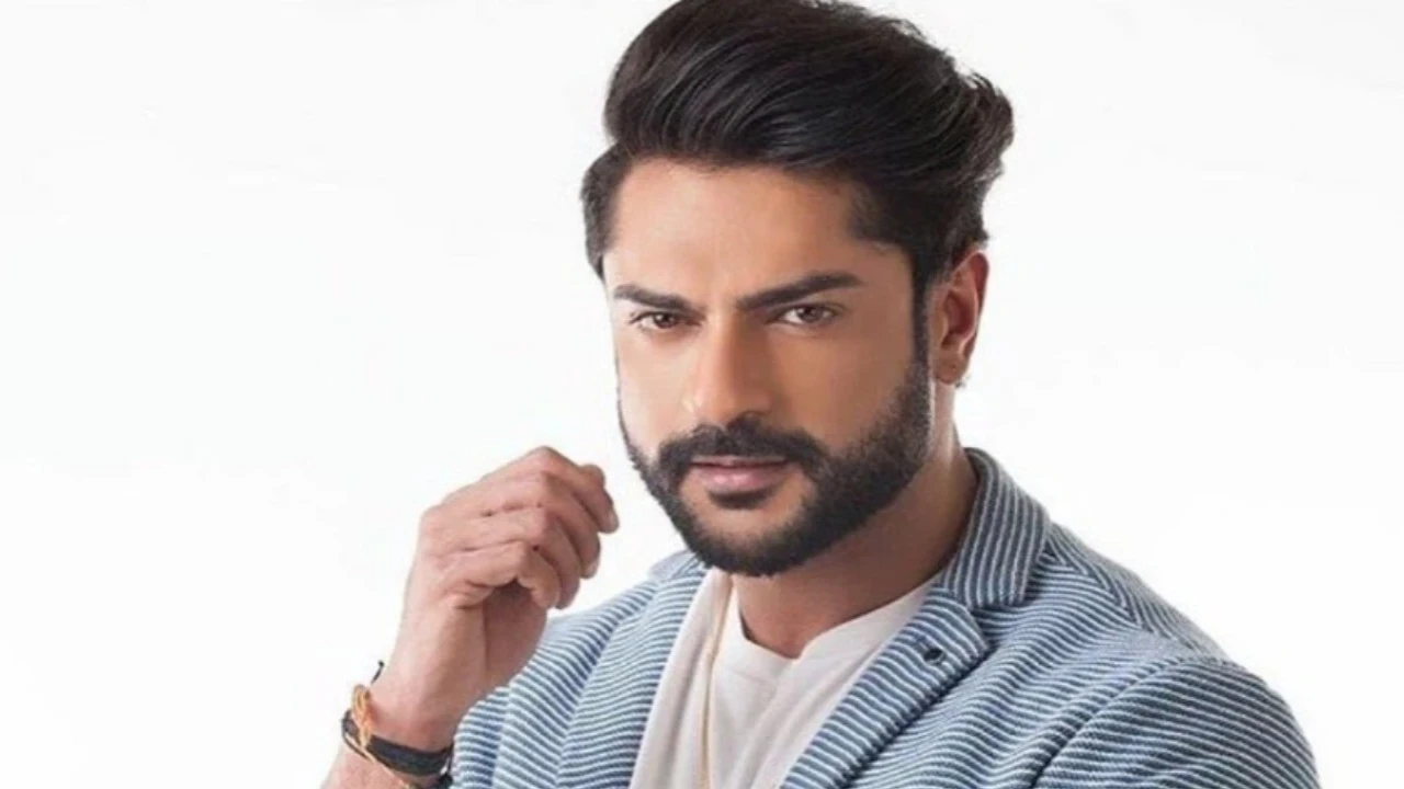 Pic credit: Ashish Kapoor X Who is Ashish Kapoor? Yeh Rishta Kya Kehlata Hai star who is arrested in Delhi