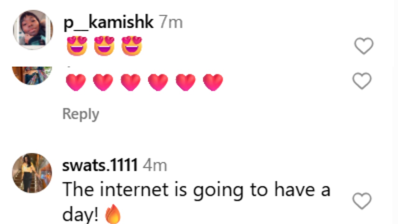 Picture credit: Pinkvilla Instagram