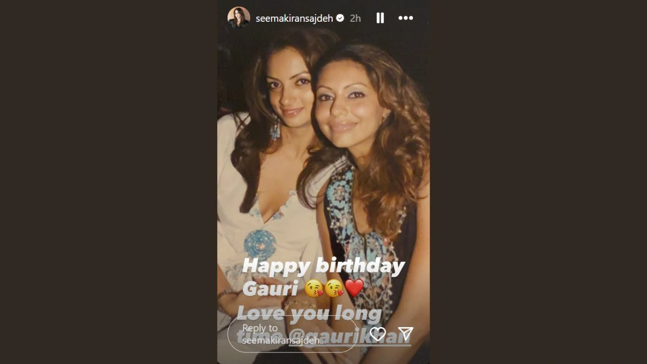 Seema Sajdeh's Instagram Story