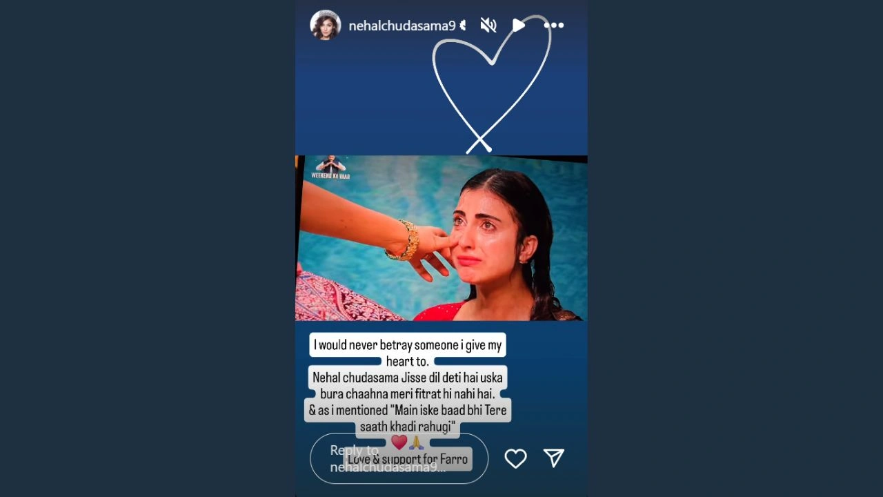 Nehal Chudasama's Instagram Story