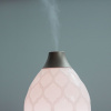 13 Best Essential Oil Diffusers for a Serene And Relaxing Atmosphere 13 Best Essential Oil Diffusers for a Serene And Relaxing Atmosphere