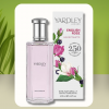 13 Best Rose Perfumes for a Fresh, Revitalizing, Feminine Scent 13 Best Rose Perfumes for a Fresh, Revitalizing, Feminine Scent