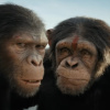 Kingdom Of The Planet Of The Apes Review Wes Balls visual wonder hits it out of the park in its third act