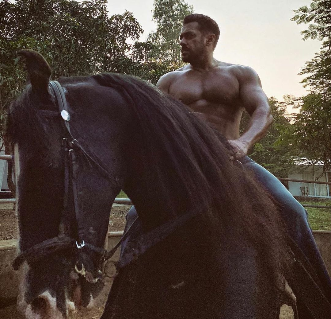 Salman Khan riding a horse at Panvel farmhouse