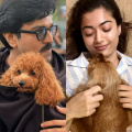 Ram Charan, Samantha Ruth Prabhu to Rashmika Mandanna: Meet pets of your favorite celebs