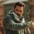 13 best Tiger 3 dialogues that prove why Salman Khan is the Bhaijaan