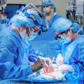 Woman makes history with combined pig kidney transplant and heart pump implant; DETAILS inside
