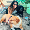 Kishwer Merchant expresses grief over pet dog Frisky's demise: 'I can't explain how angry I am'