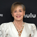 Why Is Sharon Stone Getting Sued By Amanda Godepski? Incident Explored As Basic Instinct Actress Faces 35K USD Lawsuit