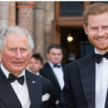 ‘That Delusion Concerns Everyone': Royal Experts On Prince Harry And King Charles' Relationship