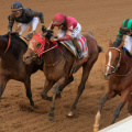 Who won Kentucky Derby 2024? Here's all we know about the results