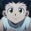 Hunter x Hunter Chapter 406: Author Hints New Outing; Deets Here