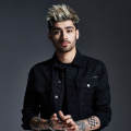 Zayn Malik Admits He Was Removed from Tinder 'Once Or Twice' Over Catfishing Claims