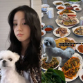BLACKPINK’s Jisoo’s pet dog Dalgom turns 9; Here’s how singer celebrated his birthday with family