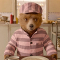 Paddington in Peru Reveals First Look; Release Window, What to Expect & More