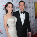 Angelina Jolie, Brad Pitt, And Nouvel's Series Of Lawsuits Explained; All Five Cases Analyzed