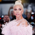 'The Gimp Of The Garden': Lady Gaga Shares Glimpse Of What She Would've Worn To Met Gala