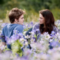Fact Check: Is The Twilight Saga Part 6 Trailer Real? Rumors Surrounding Viral Video Explored