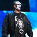 When WWE Hall Of Famer Sting Almost Died In WCW During Scary Stunt