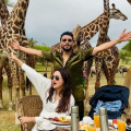 Bigg Boss 7 fame Gauahar Khan and husband Zaid Darbar enjoy breakfast surrounded by giraffes; see dreamy PICS