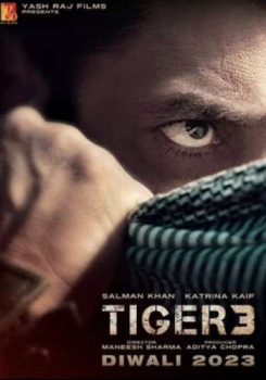Tiger 3 movie poster