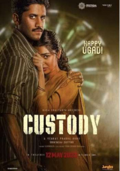 Custody movie poster