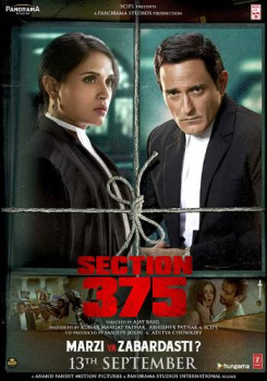 Section 375 movie poster