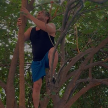 WATCH: Sikandar star Salman Khan climbing tree at 59 proves age is just a number; says ‘Berry good for u’
