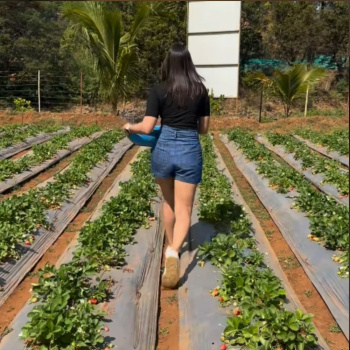 Meet actor who was Miss India finalist, daughter of ex-Navy officer, debuted with flop film, worked with Akshay Kumar, Shahid Kapoor and now...