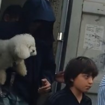 Shah Rukh Khan fans can't get over 'beautiful family' as he gets snapped at Jetty with wife Gauri and son AbRam; WATCH